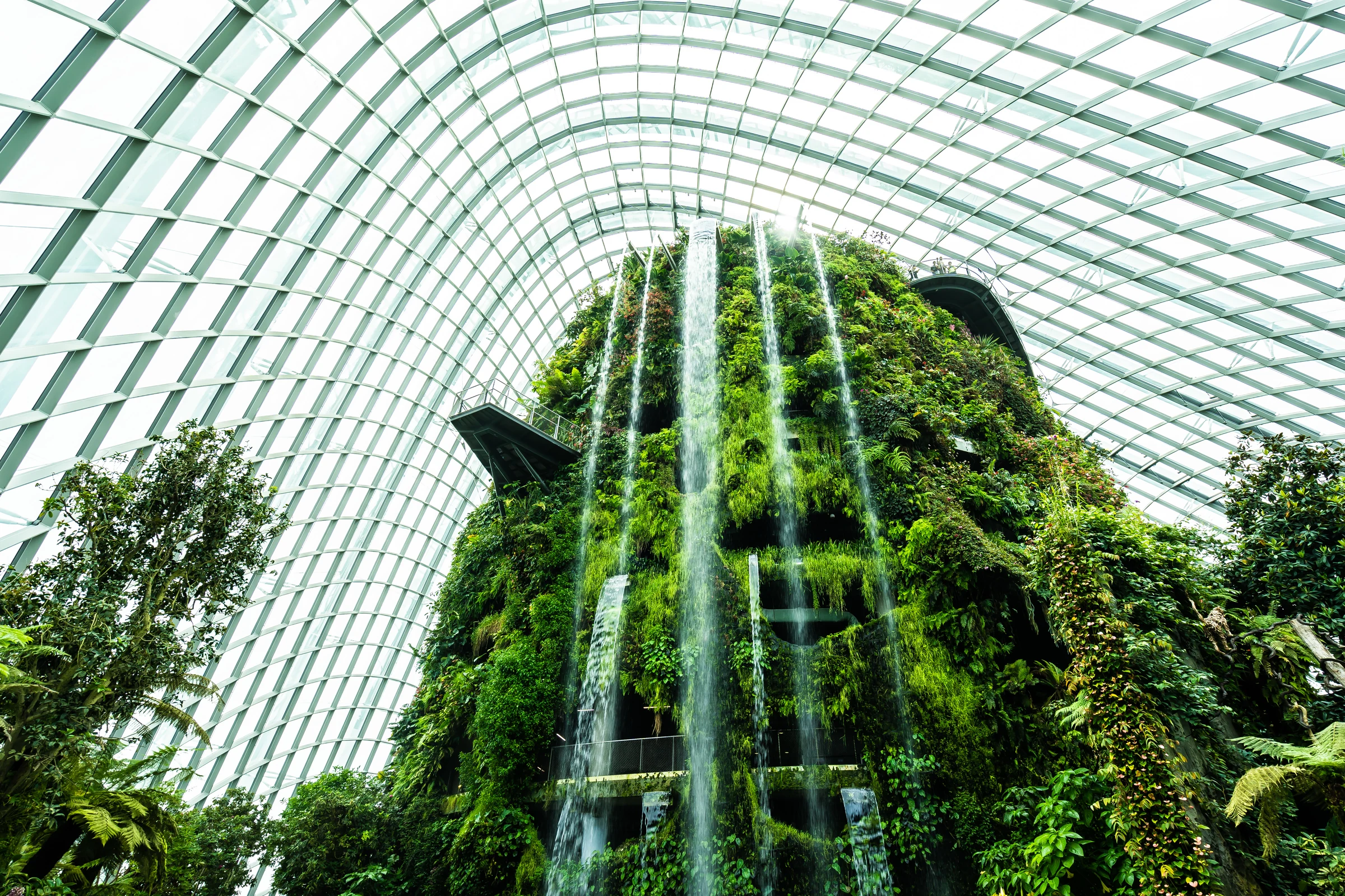 Indoor waterfall and planted walls beneath a glass conservatory roof