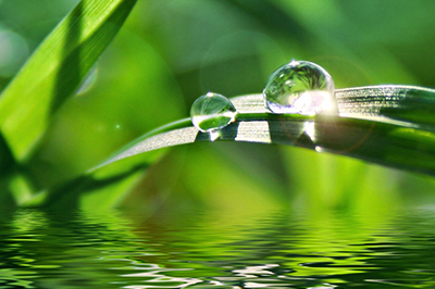 HYDROLOGY, WATER RESOURCES AND FOREST ECOSYSTEMS