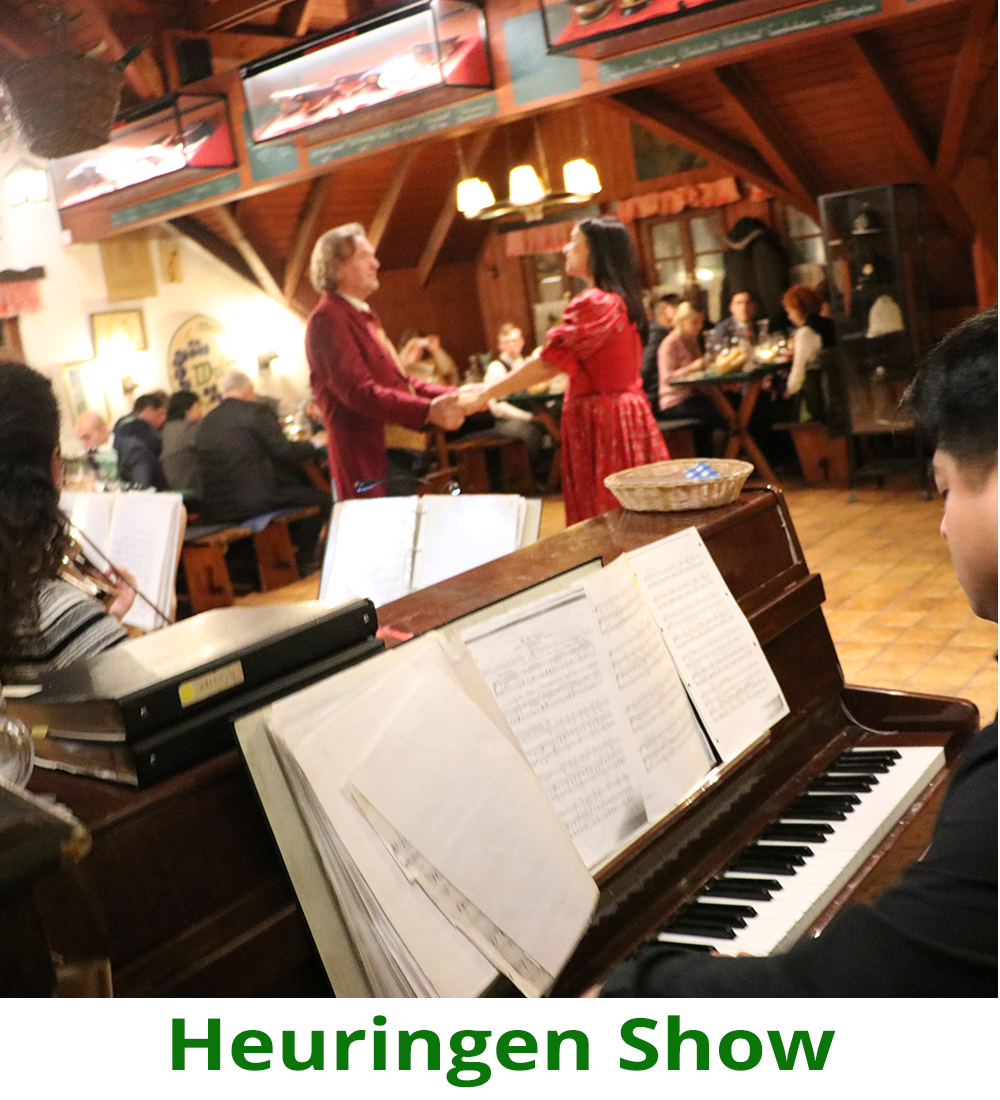 SGEM Vienna 2018- Heurigen Show & Dinner